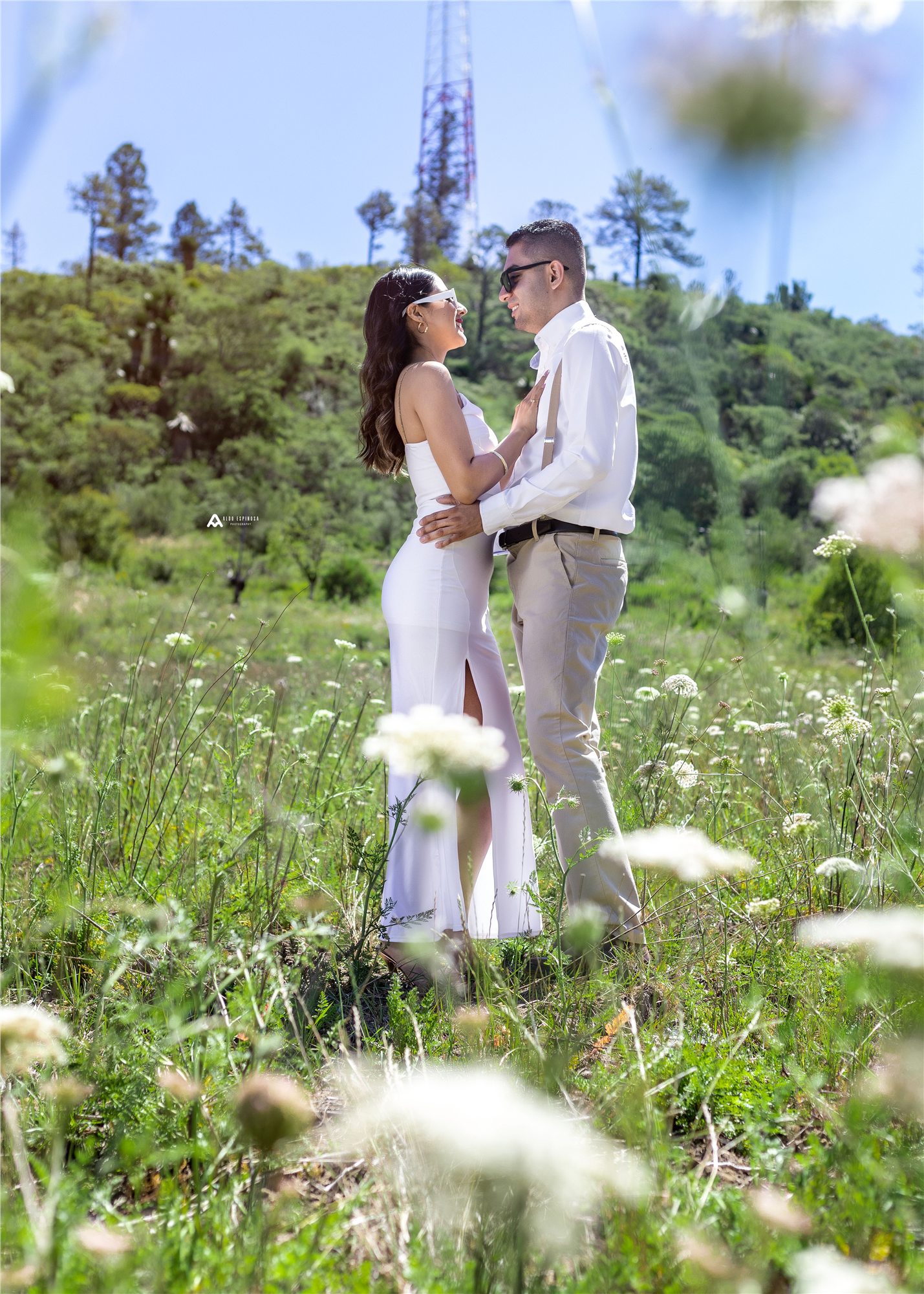 La pareja abrazada en el campo